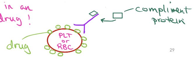 <ul><li><p>target cell (PLT or RBC) coated w/ drug → drug-target cell complex</p></li><li><p>Abs produced against drug → Abs bind drugs</p></li><li><p>complement binds stem region of Abs → target cell destroyed! (exaggerated reaction to drug)</p><ul><li><p><mark data-color="yellow" style="background-color: yellow; color: inherit;">thrombocytopenic purpura</mark></p></li><li><p><mark data-color="yellow" style="background-color: yellow; color: inherit;">hemolytic anemia</mark></p></li></ul></li></ul><p></p>