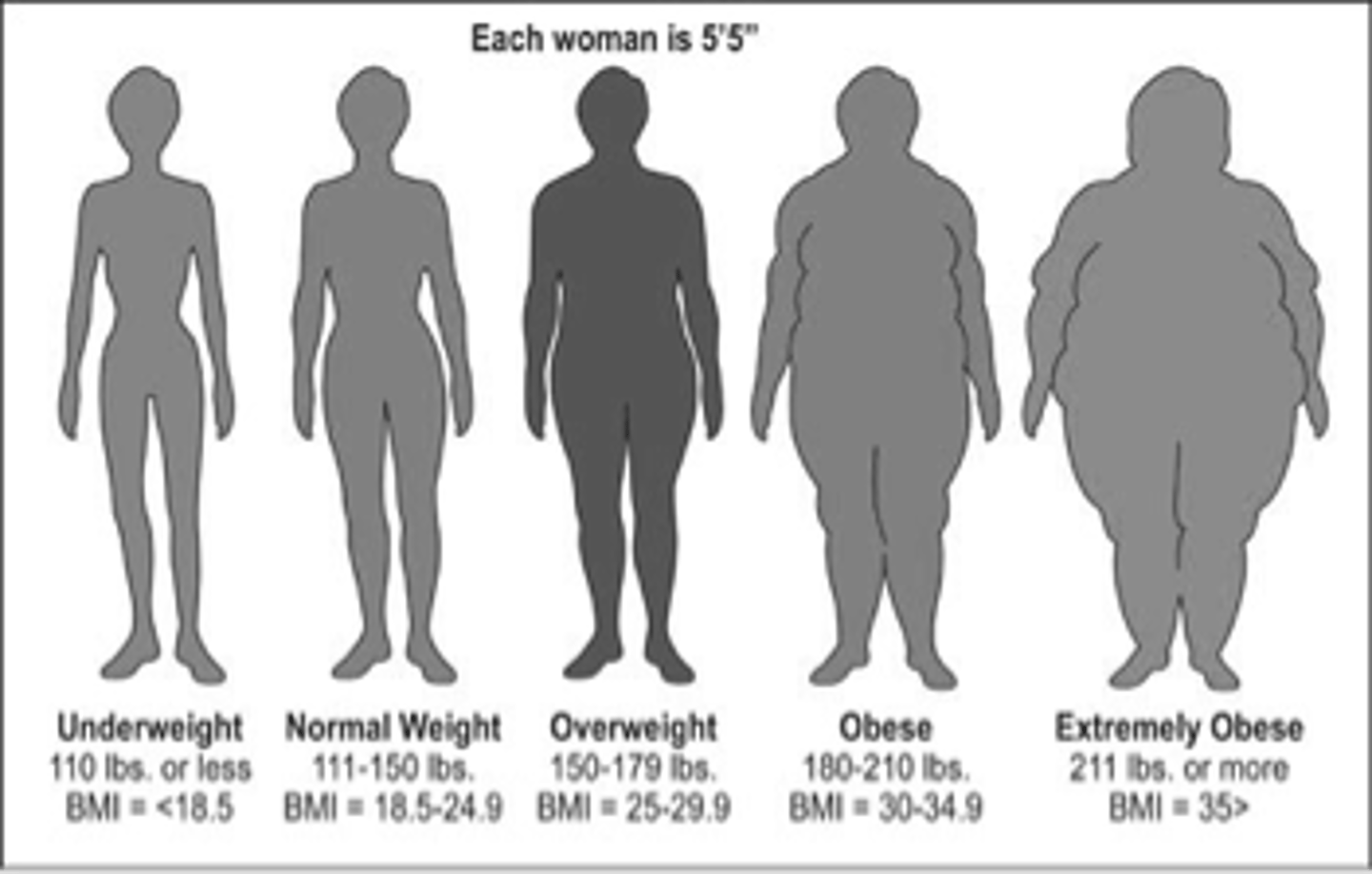 <p>bệnh béo phì / béo phì Fast food and a lack of exercise can lead to ___________.</p>