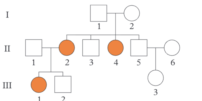 <ul><li><p>If both parents are affected, all offspring affected</p></li><li><p>Two unaffected (carrier) parents can have an affected child</p></li></ul><p></p>