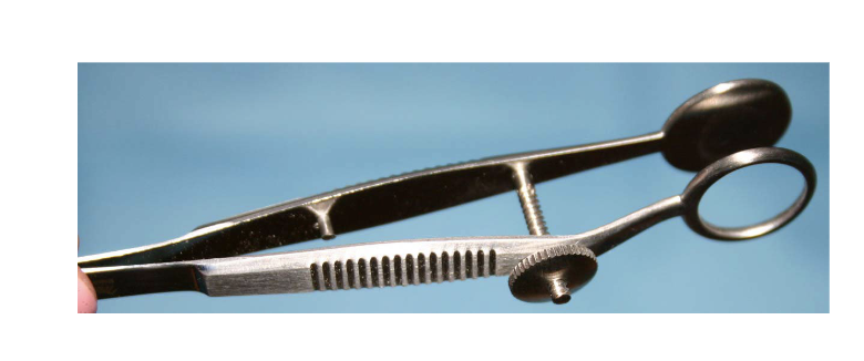 <p>Chalazion Forceps</p>