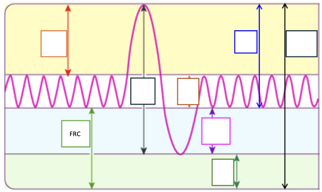 <p>FRC is the volume of air remaining in lungs at the end of a quiet exhale when muscles are relaxed</p><p>RV + ERV</p>