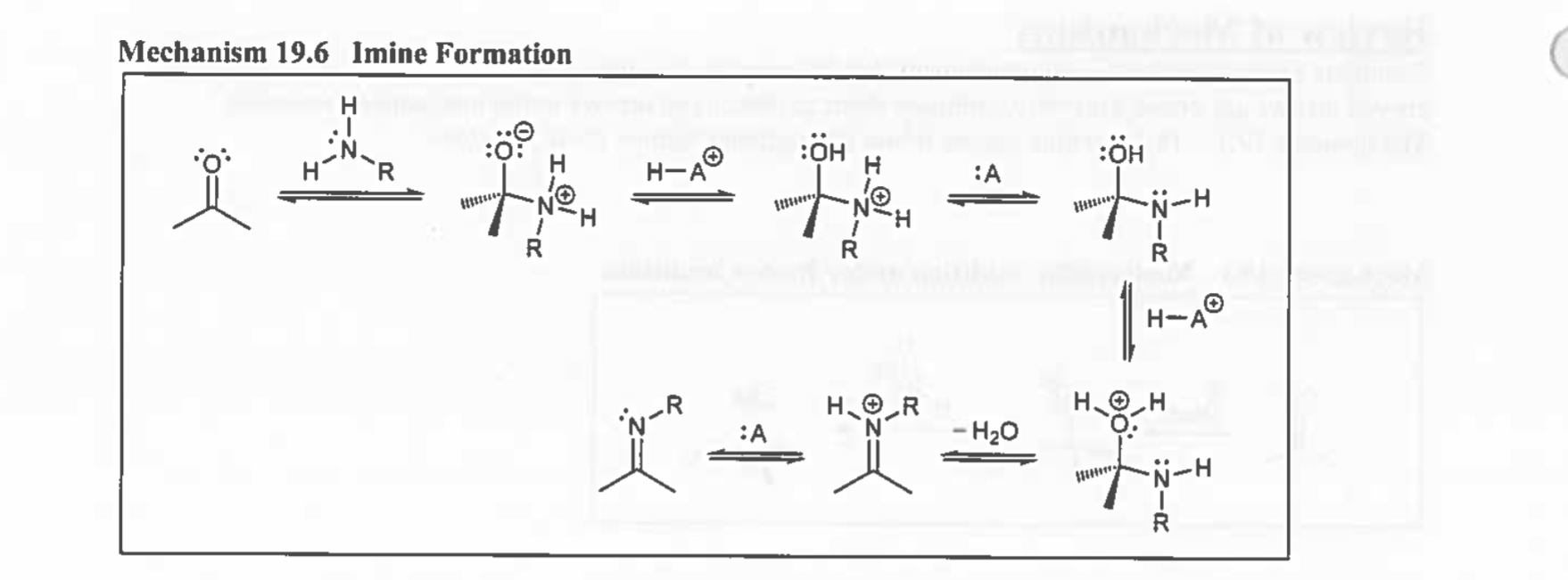<p>C=N / cat.H+<br>Nitrile attacks H → N<br>Kicks H </p>