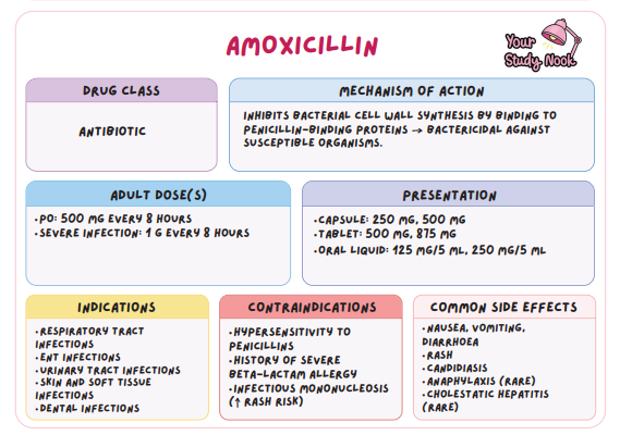 <p>Antibiotic - Inhibits bacterial cell wall synthesis by binding to penicillin-binding proteins; bactericidal against susceptible organisms like those in respiratory and urinary tract infections.</p>
