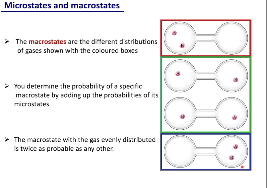 <p>most probable is the macrostate with the highest number of microstates </p><ul><li><p>eg. middle</p></li></ul><p>middle one has higher entropy</p>
