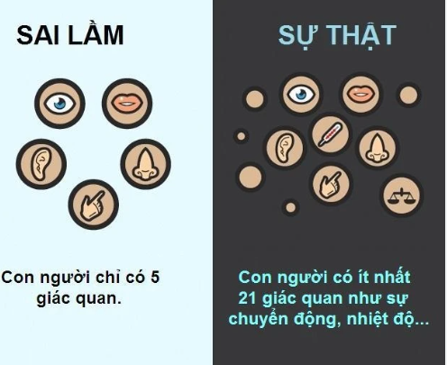 <p><strong>misconception</strong><span> (n)</span></p>