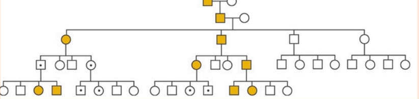 <p>What is this an example of?</p>
