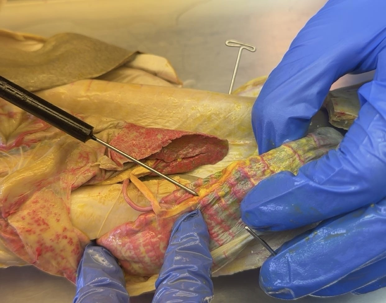 <p>What is this?</p>