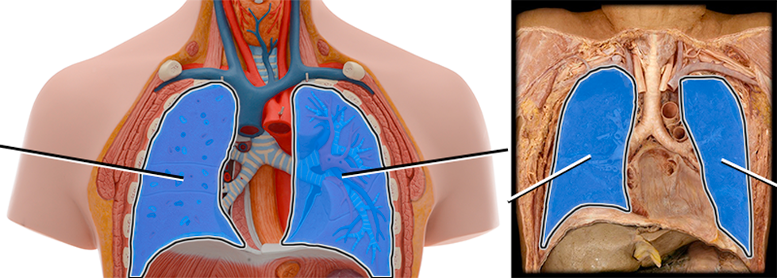 <p>Tell me what the direction, region, and structure of this picture are. (Closer up image)</p>