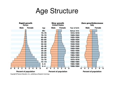 <p>Population Pyramids showing a population’s growth trends and social conditions</p>
