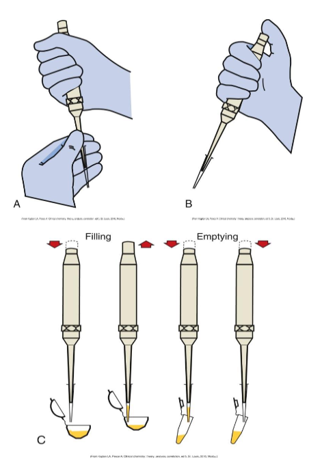 <p>Automatic Pipettes</p>