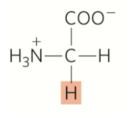 <p>glycine</p><p>nonpolar</p><p>hydrophobic</p><p>aliphatic (non-aromatic)</p><p>stabilize on insides via hydrophobic interactions</p>