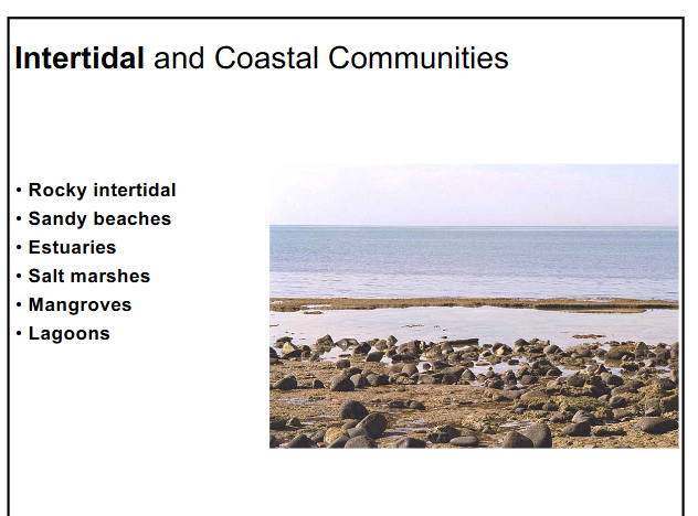 <p>intertidal and coastal communities</p>
