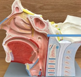 <p>name the parts</p>