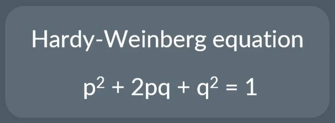 <p>The frequency of a heterozygous genotype is given by 2pq</p><p>p+q =1</p><p></p>