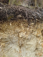 <p>A complex plant-supporting system consisting of disintegrated rock, organic matter, air, water, nutrients, and microorganisms.</p>