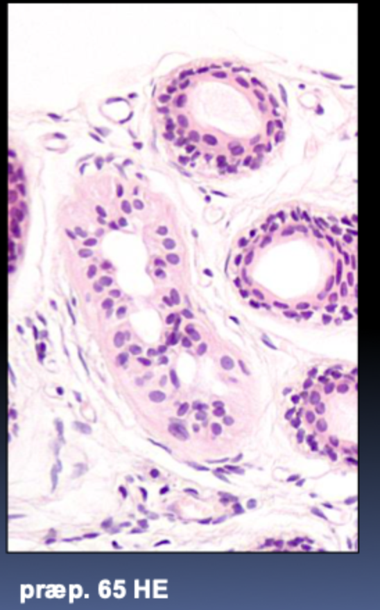 <p>Temperaturregulering</p>