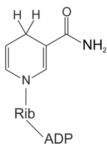 <p>what electron carrier is this?</p>