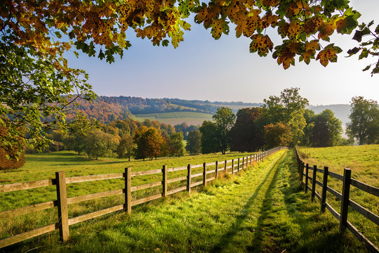 <p>the countryside</p>