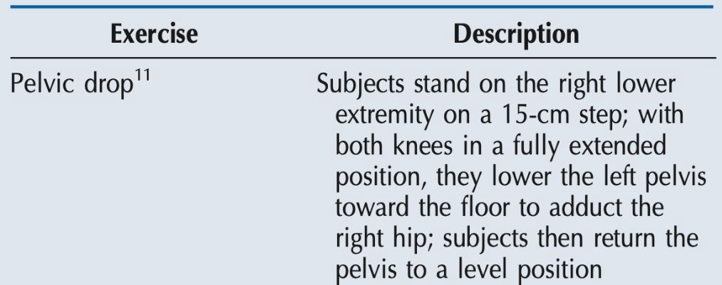 <p><strong>Pelvic Drop</strong></p>