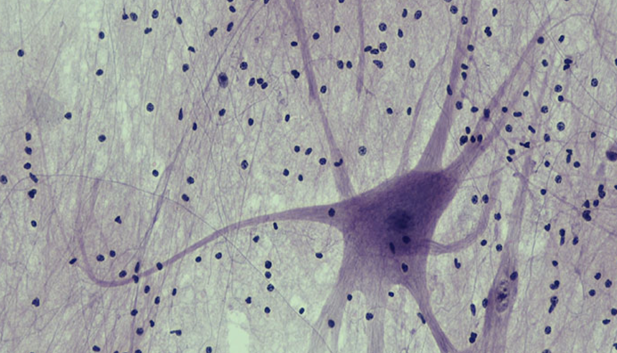 <p>What is this?</p>