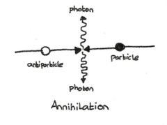 <p>This interaction in matter involves a positron (positive electron) and an electron (negatron). After a positron has transferred most of its kinetic energy by ionization and excitation, it combines with a free or loosely bound negative electron. </p><p>This interaction is explosive, as the combined mass of the two particles is instantly converted to energy in the form of two oppositely directed photons, each energy 511 keV</p>