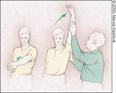 <p>Passive elevation in scapular plane with IR; checks supraspinatus/biceps tendon impingement.</p>