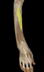 <p></p>