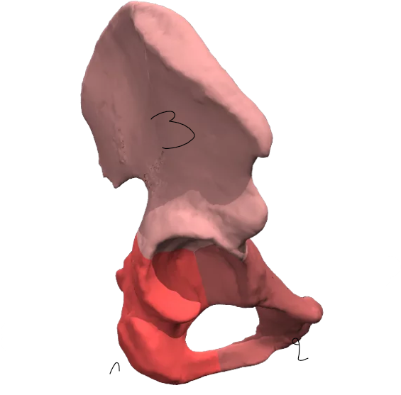 term image