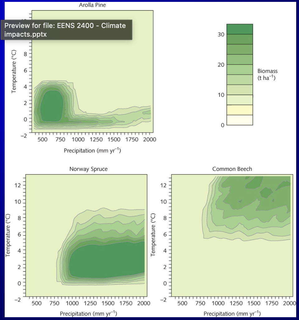 <p>realtionship between climate (temperature and precipitation) and the biomass of three tree species: Arolla pine, norway spruce, and common beech</p>