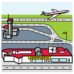 <p>（fēi jī chǎng） airport</p>