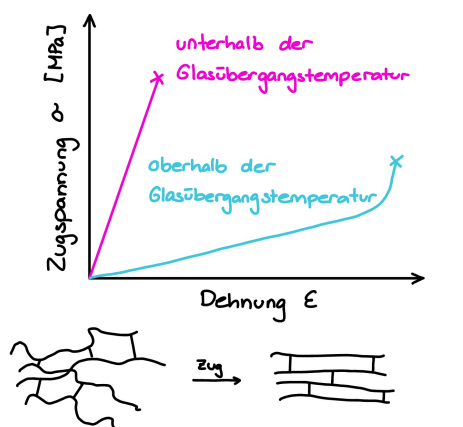<p>• Oberhalb der Glasubergangstemperatur:  </p><p>– Elastomer kann elastisch gedehnt werden. </p><p>– Elastomer ist amorph, besteht aus vielen vernetzten Molekulen. </p><p> – Die Polymerketten zwischen den Vernetzungen werden gedehnt und Ausrichtung der Ketten. </p><p>– Mit wenig Spannung kann eine grosse Dehnung erreicht werden. </p><p>– Sobald die Vernetzungen zerstört werden, versagt das Material in einem spröden Bruch. </p><p></p><p>• Unterhalb der Glasübergangstemperatur:</p><p> – Elastomer kann nicht gedehnt werden, es kommt sofort zum Bruch, da spröde. </p><p>– Die Molekülketten werden nicht gedehnt oder ähnliches, da die Diffusion viel zu langsam ist im Vergleich zur Spannung. </p><p>– Das E-Modul ist deutlich höher als oberhalb der Glasubergangstemperatur. </p><p>– Die Polymerketten werden also auch nicht zwischen den Vernetzungen gestreckt. </p><p>– Beispiel: gefrorenes Gummiband – lässt sich nicht mehr ziehen.</p>