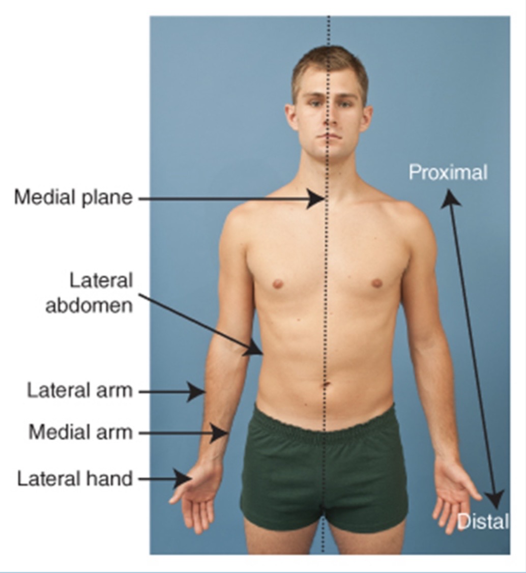term image
