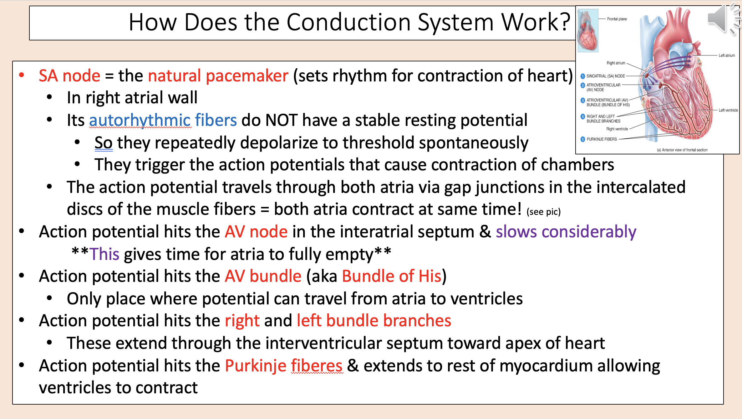<p><span style="color: rgb(255, 0, 0);">SA node</span></p>