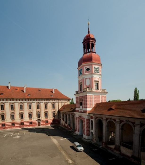 term image