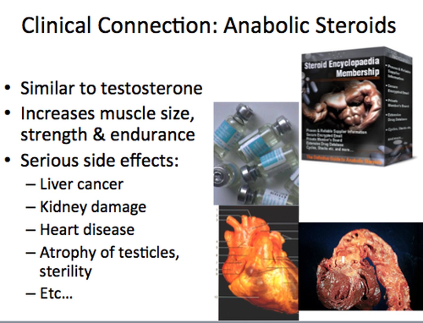 <p>Synthetic substances that are similar to the male hormone testosterone. These hormones help with training recovery</p>