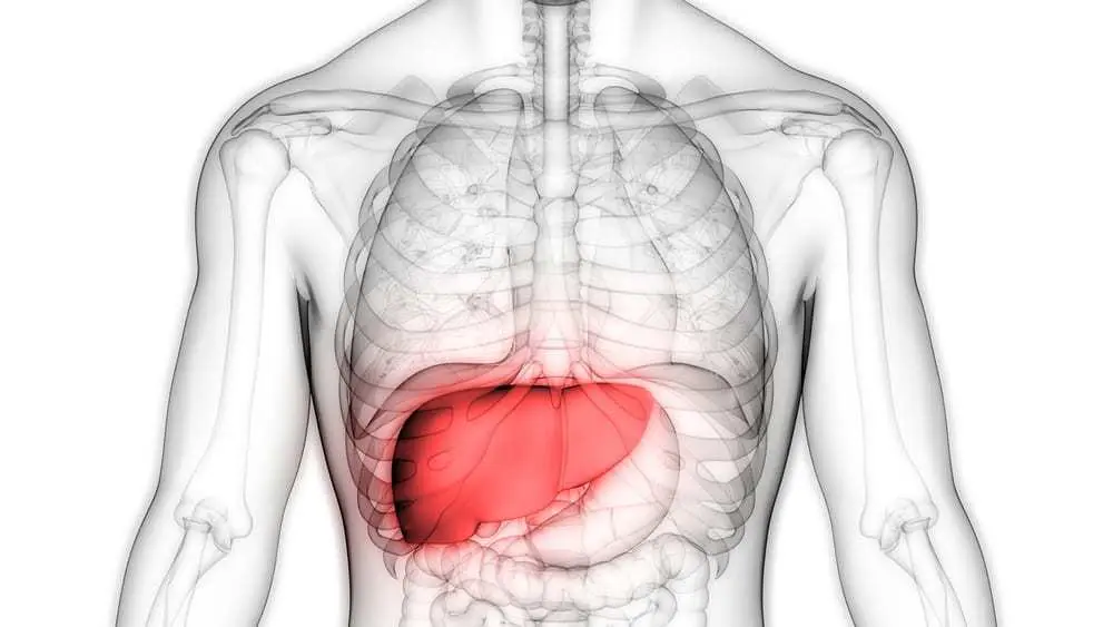 <p>right upper quadrant</p>