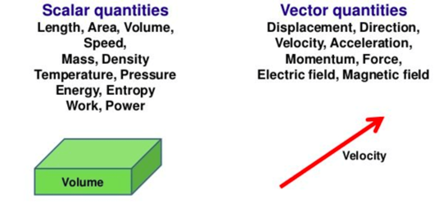 <p>Scalars</p><p>https://www.khanacademy.org/science/ap-physics-1/ap-one-dimensional-motion/ap-physics-foundations/v/introduction-to-vectors-and-scalars</p>