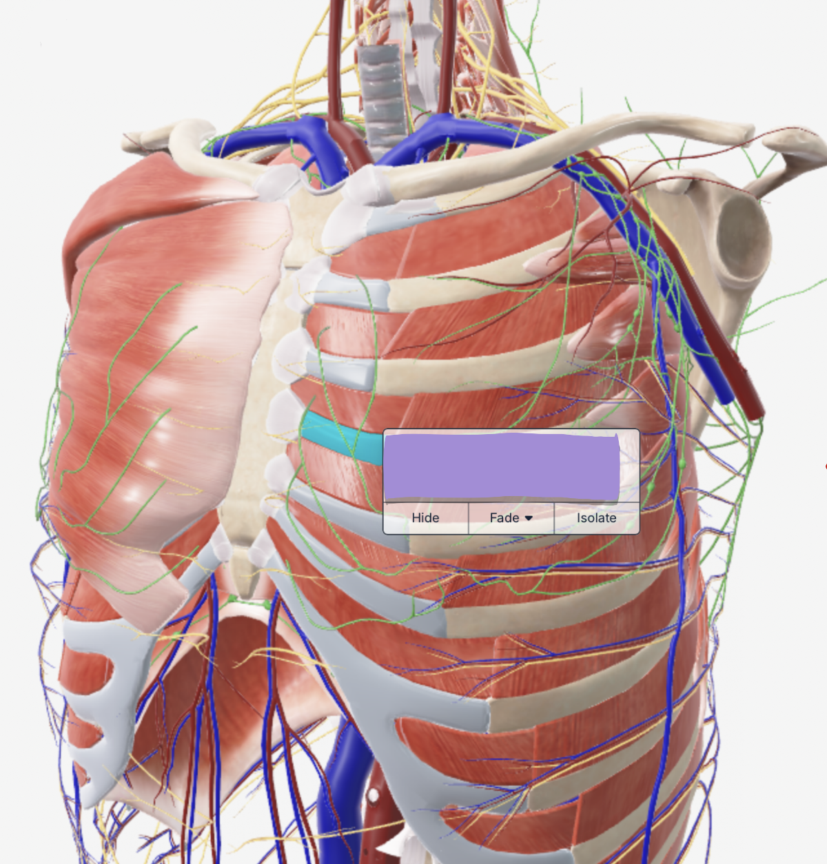term image