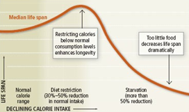 <p>Calorie restriction lengthens median life span of flies, worms, and mice over animals eating a normal diet. Unclear whether calorie restriction can work in humans.</p>