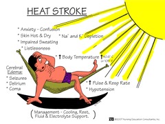<p>a true medical emergency in which body temperature may exceed 104° F (40° C).</p><p>Has a high mortality rate if not treated in a timely manner.</p>