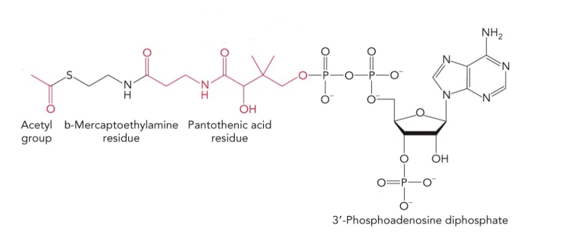<p>What is the name of this molecule</p>