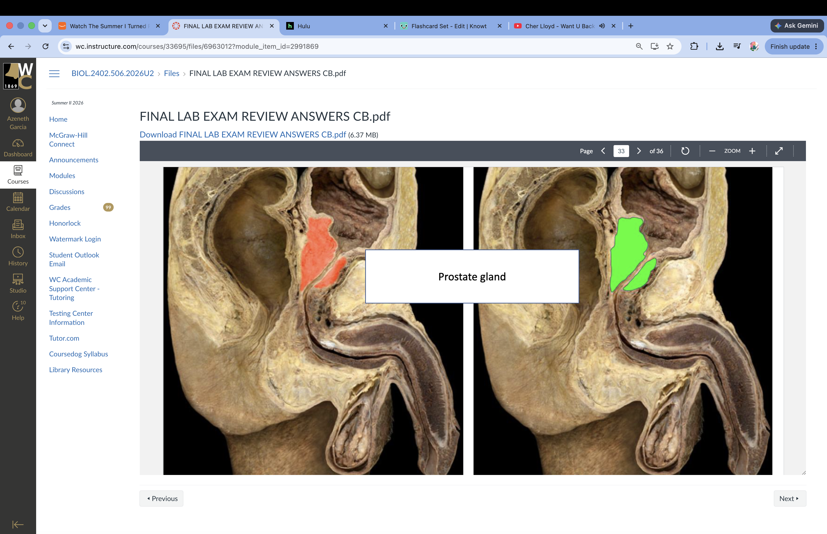 knowt flashcard image