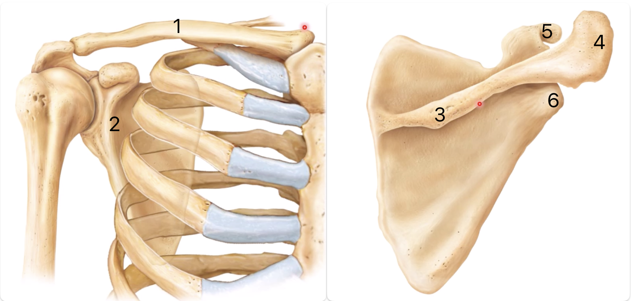 <p>What are the different parts</p>