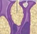 <p>What is this structure?</p>