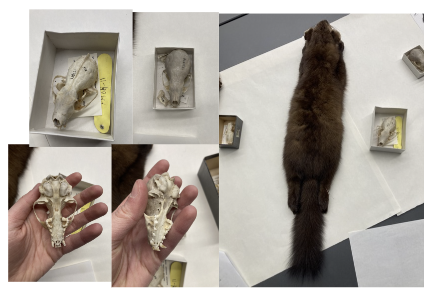 <p>What is this?</p>