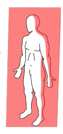 <p>Vertical plane dividing the body into front and back portions.</p>