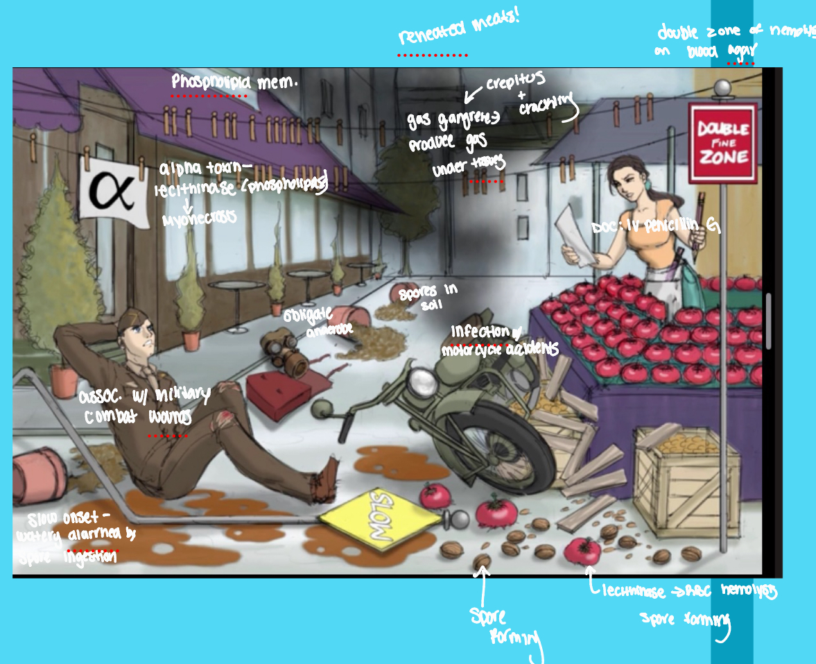 <p><span><span>Mechanism of food poisoning?</span></span></p>