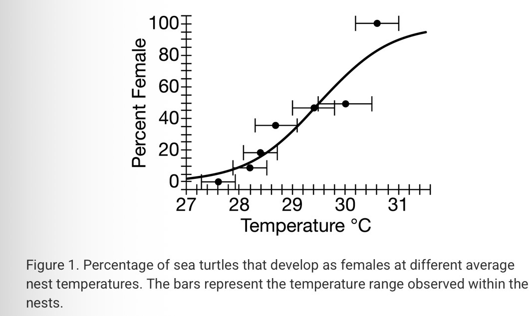 <p><span>Some green sea turtle females deposit their eggs in nests that are dug on warm, tropical beaches. Researchers have studied the effects of temperature on the hatching rate and the proportion of female to male hatchlings produced at different average nest temperatures in Suriname (Figure 1). At temperatures below 23 C or above 33 C, the eggs do not develop.</span></p>