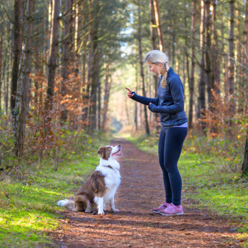 <p>Sit - <em>Sét</em></p>