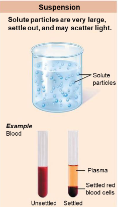 <p>A heterogeneous mixture with large visible particles that settle out.</p>